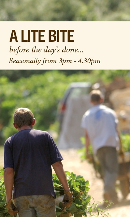 Lite Bites Menu 2026