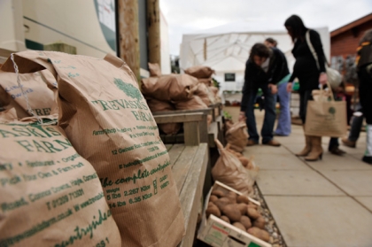 Potato bags