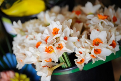 Freshly picked flowers