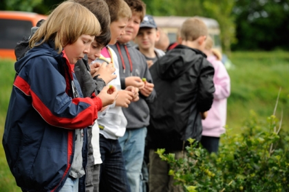 Children picking