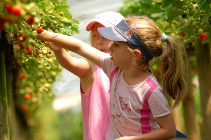 Children Picking