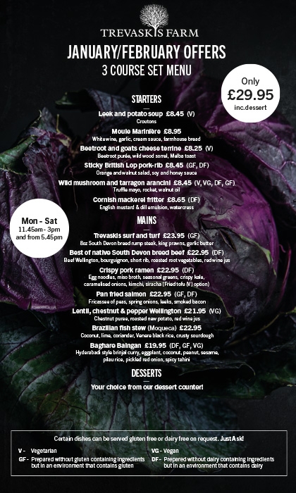 January Specials 2025 Standard