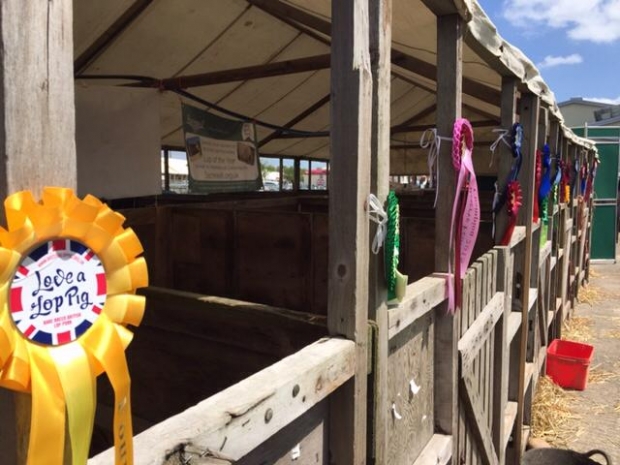 Devon County Show