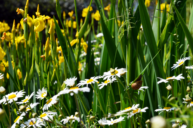 Trevaskis Farm  |  A Great Day Out for the Whole Family!