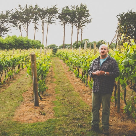 SUPPLIER SHOWCASE: Polgoon Vineyard