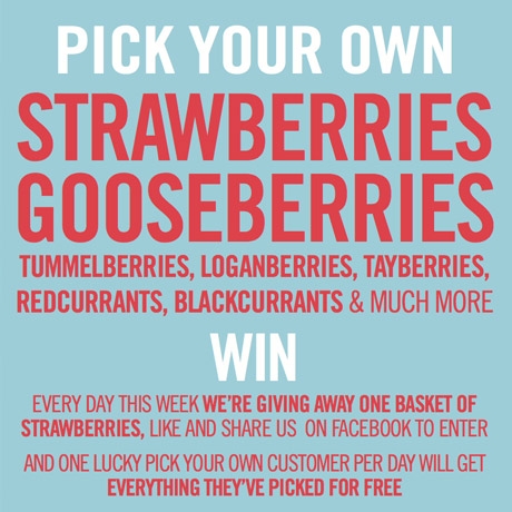 the big summer fruit giveaway