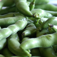 Broad Beans