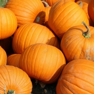 PUMPKINS