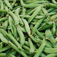 Shelling Peas