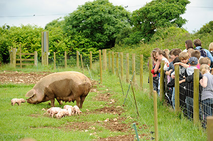 Trevaskis Farm