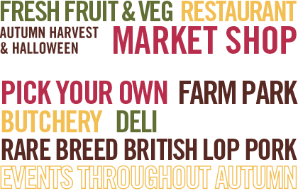Market Shop
