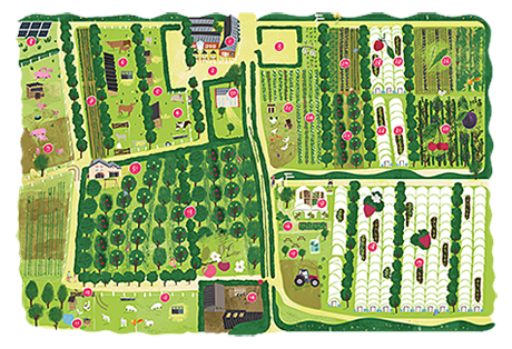 Park map